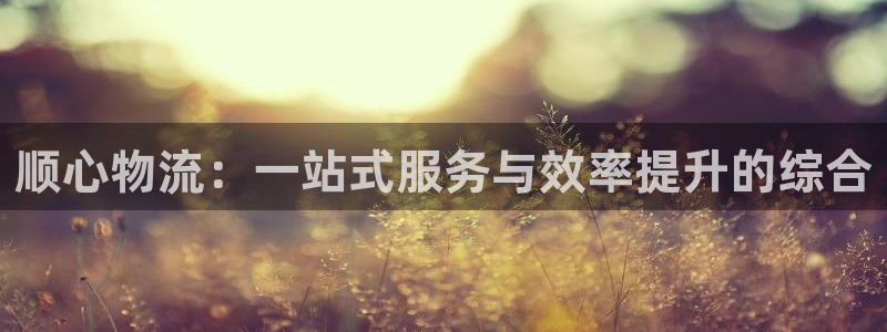 28圈加拿大：顺心物流：一站式服务与