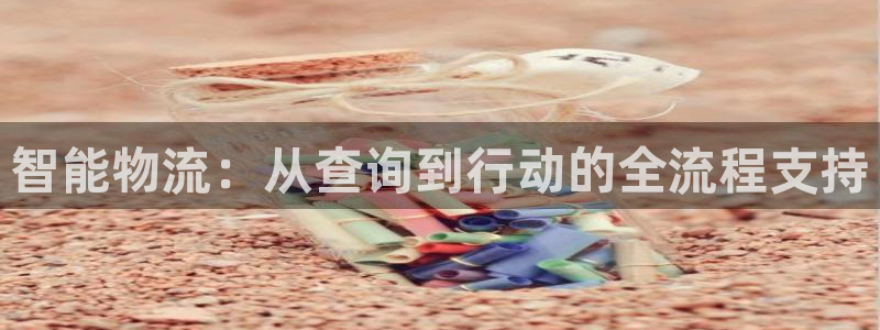 28圈现在狂杀：智能物流：从查询到行