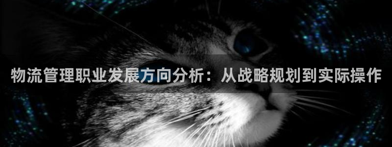 28圈怎么下载教程