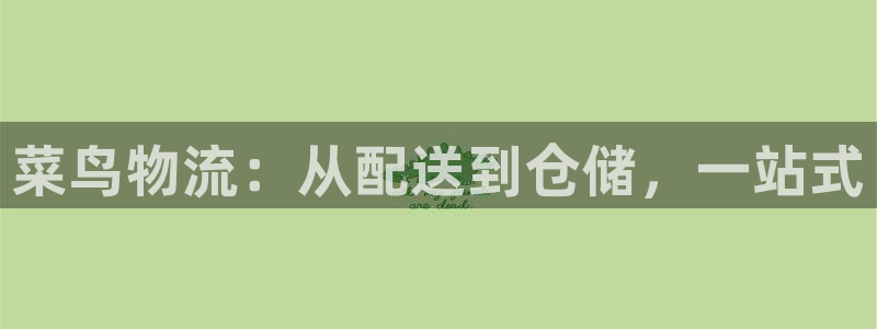 28圈模拟器：菜鸟物流：从配送到仓储
