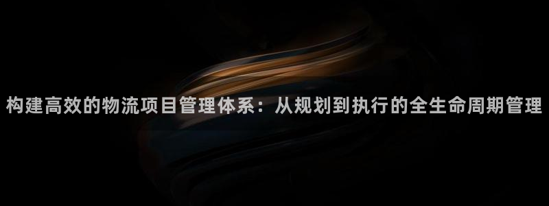 28圈免费充钱：构建高效的物流项目管