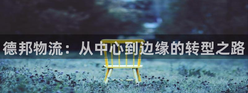 自行车28圈是什么意思：德邦物流：从