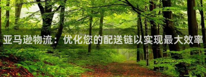 28圈自行车图片大全：亚马逊物流：优