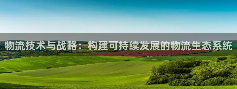 28圈的自行车：物流技术与战略：构建