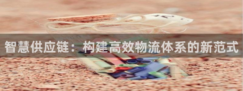 28圈为什么打不开:智慧供应链:构建