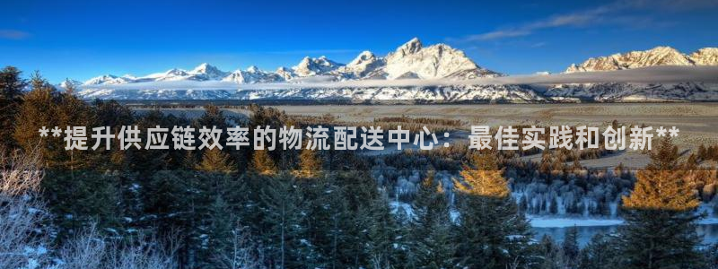 28圈登录:**提升供应链效率的物流