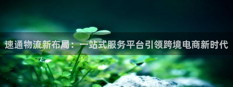 28圈加拿大下载:速通物流新布局:一