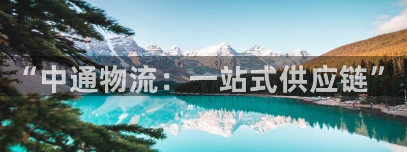 28圈.ccm南宫:“中通物流:一站