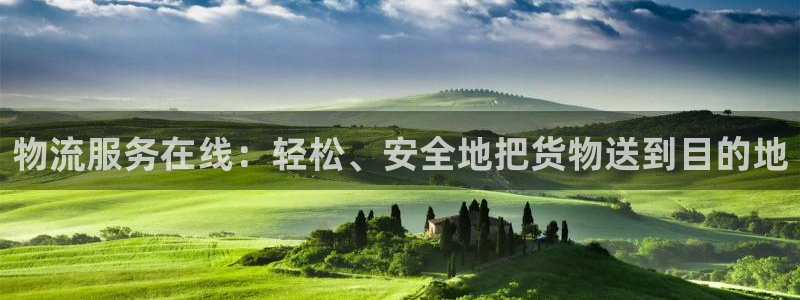 28圈怎么下载不了:物流服务在线:轻