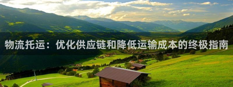 28圈娱乐官网网页：物流托运：优化供