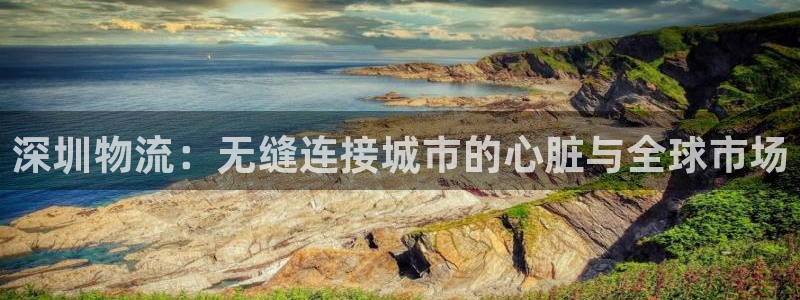 28圈在线预测官网