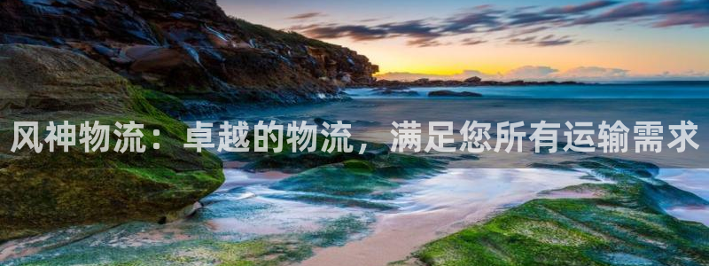 28圈怎么下载不了