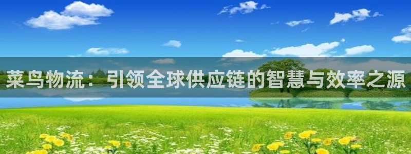 28圈提现不到账