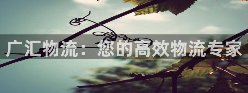 28圈注册网站链接