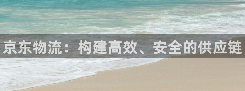 28圈注册网页版：京东物流：构建高效