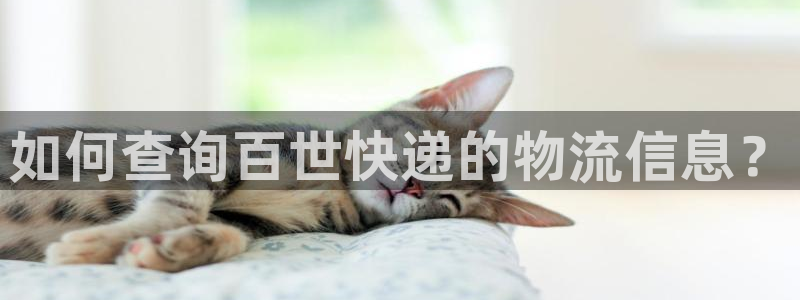 28圈娱乐官网网页入口