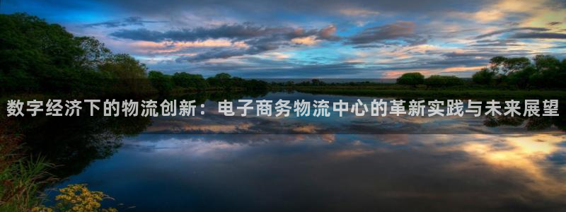 28圈官网网站：数字经济下的物流创新