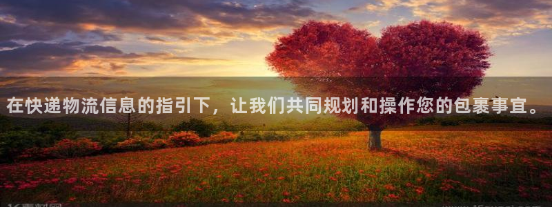 28圈平台注册：在快递物流信息的指引