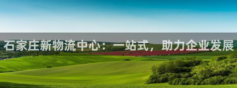 28圈充值不到账怎么回事：石家庄新物