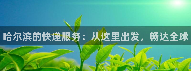 28圈入口问一问