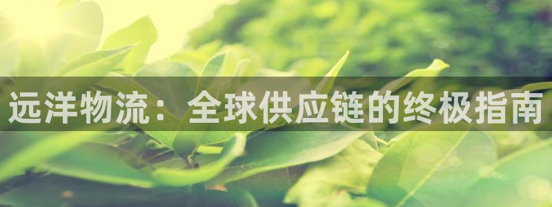 28圈新用户怎么注册：远洋物流：全球