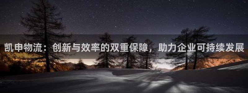 28圈预测网:凯申物流:创新与效率的