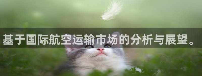 28圈网赌有什么风险