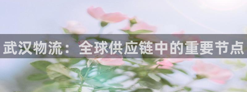 28圈app赢了500万：武汉物流：