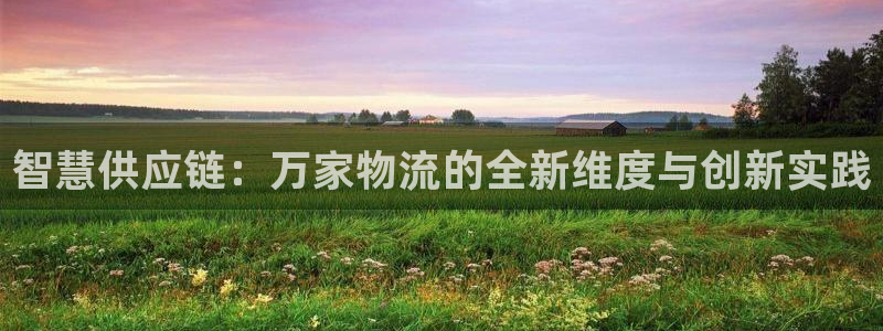 28圈游戏链接:智慧供应链:万家物流