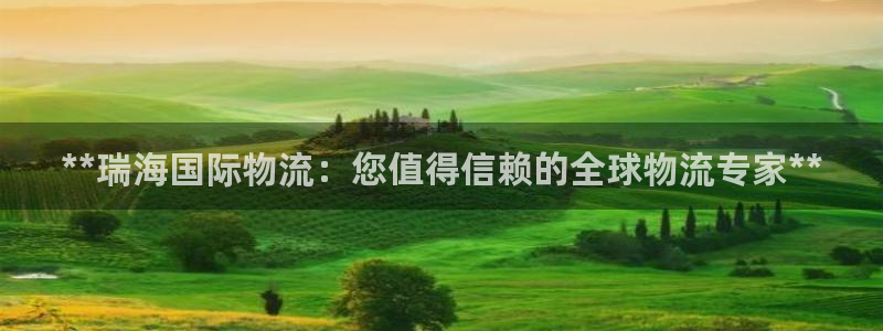 28圈加拿大最新版:**瑞海国际物流