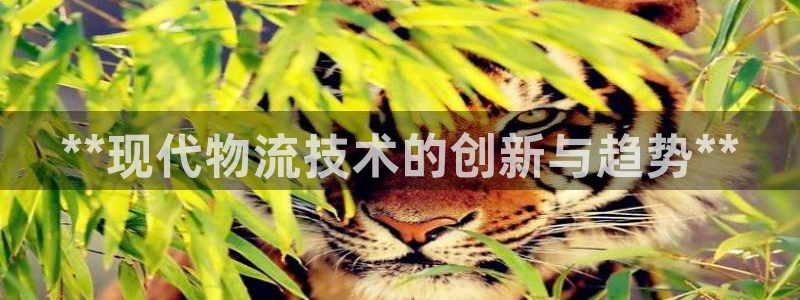 28圈怎么下载不了:**现代物流技术