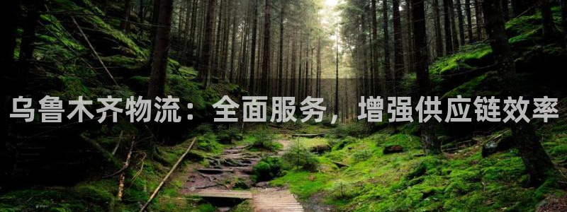 28圈流水怎么算：乌鲁木齐物流：全面