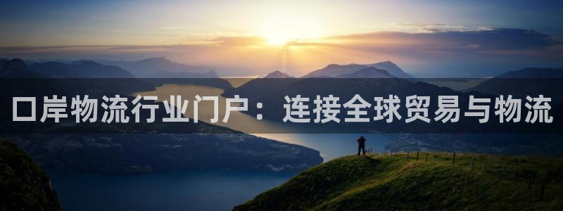 28圈充值不处理会怎么样：口岸物流行