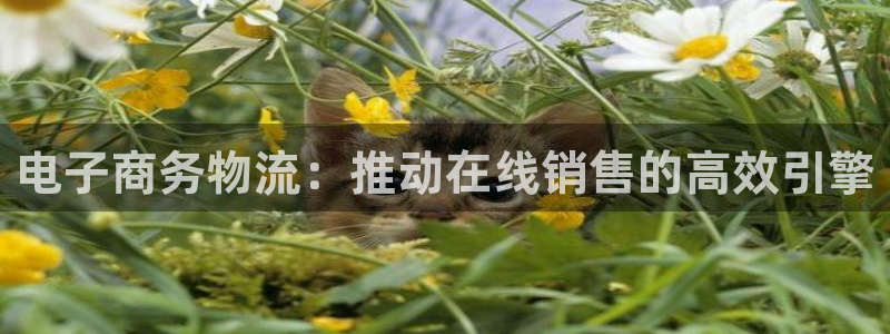 28圈能提现吗:电子商务物流:推动在