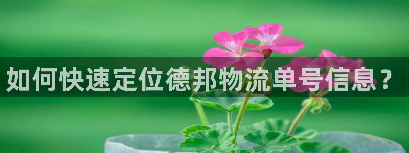 28圈流水怎么算:如何快速定位德邦物
