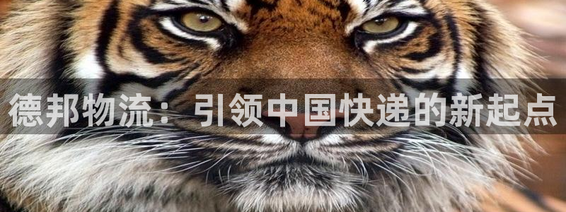 28圈正规吗：德邦物流：引领中国快递