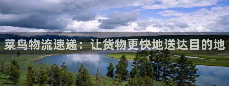 28圈注册网页版:菜鸟物流速递:让货