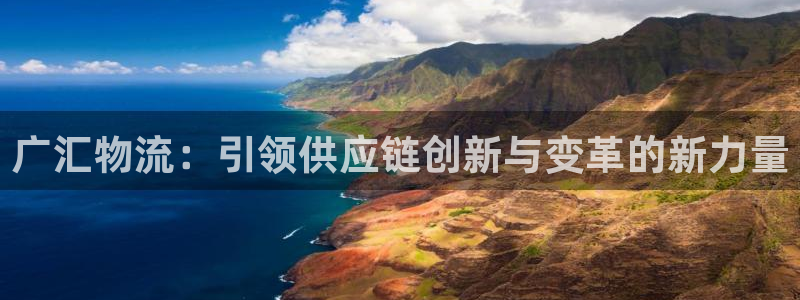 28圈入口问一问：广汇物流：引领供应