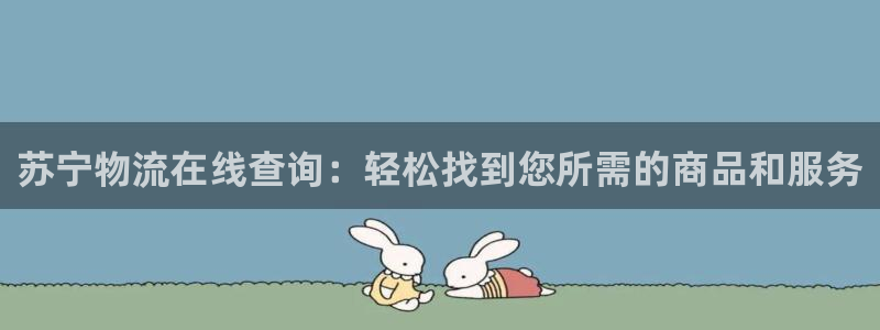 28圈怎么下载不了：苏宁物流在线查询