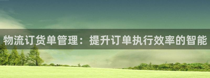 28圈注册网站链接是什么：物流订货单