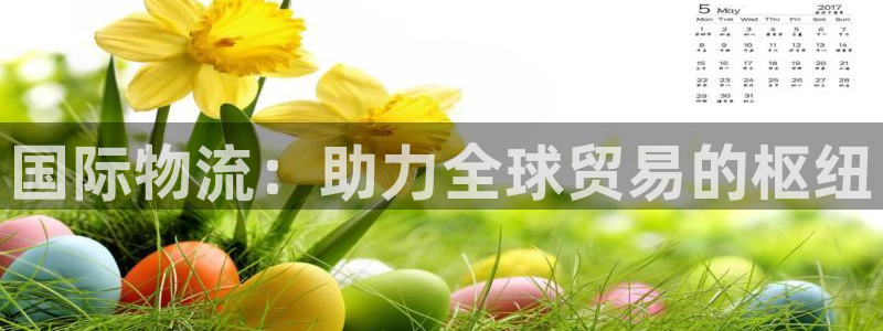 28圈官网平台下载：国际物流：助力全