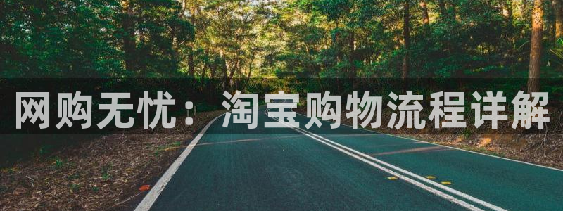 南宫28圈官网:网购无忧:淘宝购物流