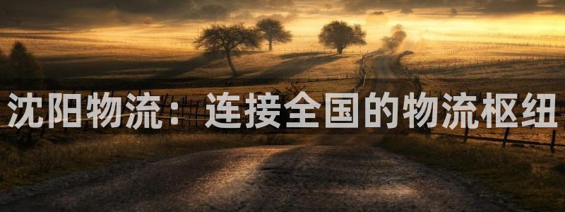 28圈.ccmpc正版：沈阳物流：连