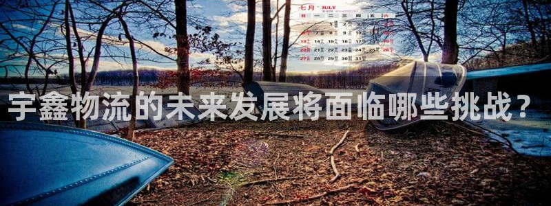 28圈充值不到账怎么回事：宇鑫物流的