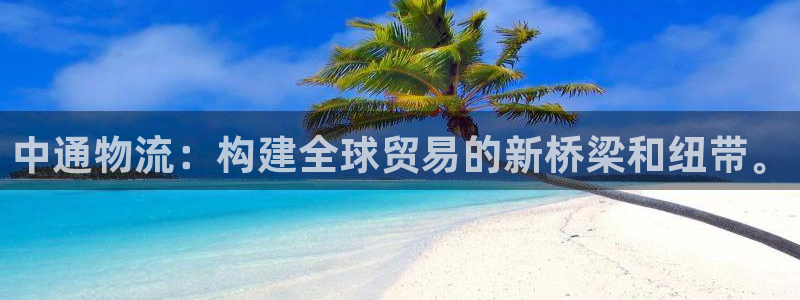 28圈稳吗：中通物流：构建全球贸易的