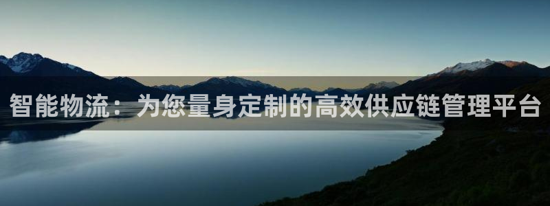 28圈代理落网：智能物流：为您量身定