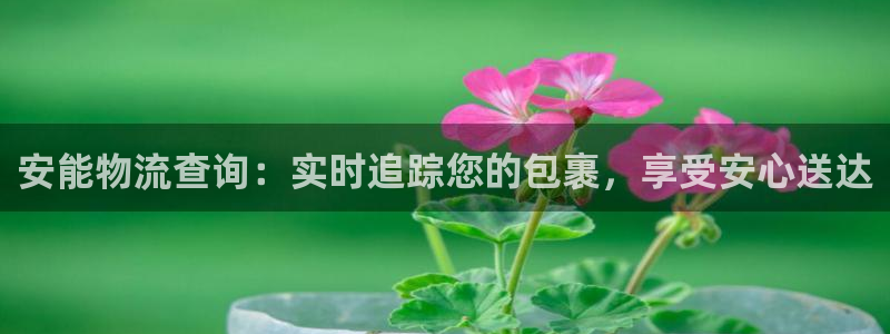 28圈怎么注册账号:安能物流查询:实