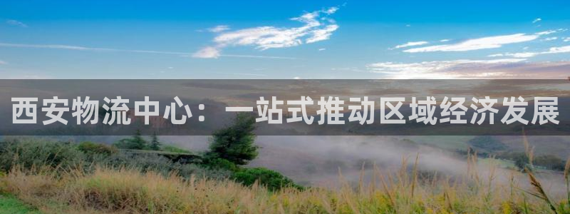 28圈犯法吗：西安物流中心：一站式推