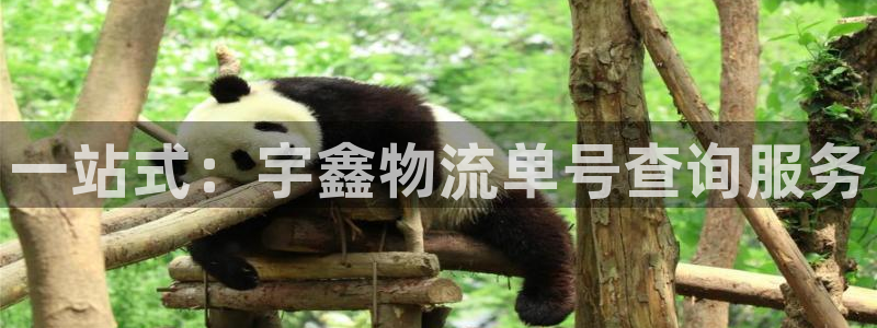 28圈app官网少林足球：一站式：宇鑫物流单号查询服务