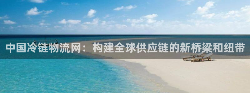28圈模拟器：中国冷链物流网：构建全